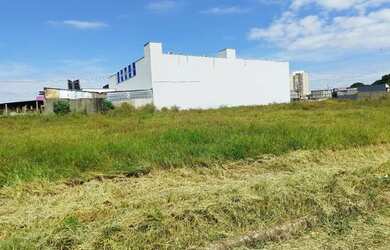 Imagem 2: Lote Residencial Humaitá