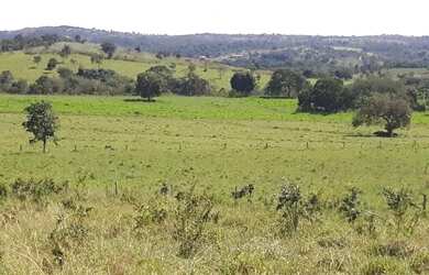 Imagem: A fazenda possui 1.850.000.000m² de Área e está localizado