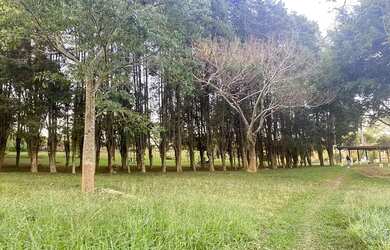 Imagem 5: Compre Seu Terreno e Invista no Seu Sonho em Ibiúna SP