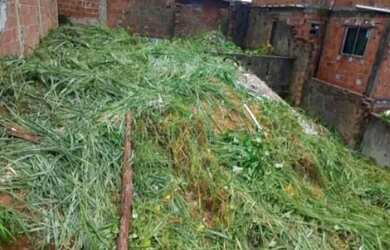 Imagem 1: Terreno na.linha do tiro. 