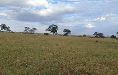 Imagem 14: Fazenda Porteira Fechada. 