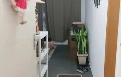 Imagem 12: Apartamento na Cavalhada de 1 dormitório