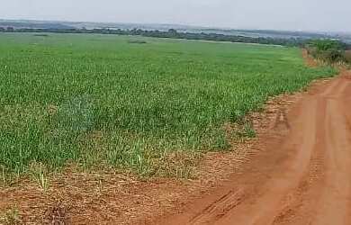 Imagem: A fazenda possui 280m² de Área e está localizado em Área