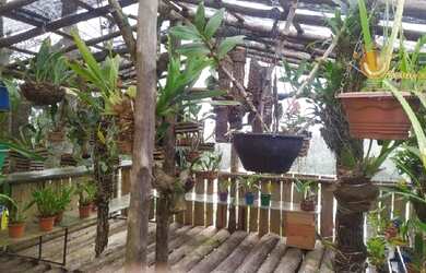 Imagem 15: VENDA - CHÁCARA JARDIM CANANÉIA / PILAR DO SUL/SP