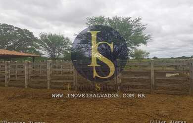 Imagem 8: Fazenda à venda Excelente para Criação de Gados,Caprinos e Ovinos e...