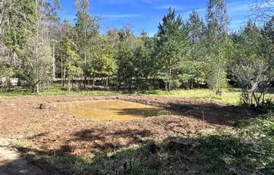 Imagem: A fazenda possui 1400m² de Área e está localizado em Fazenda