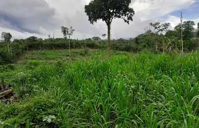 Imagem 5: Vende-se fazenda. 1.200.000m² de Área