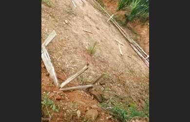 Imagem: A chácara possui 4.000m² de Área e está localizado em Mato