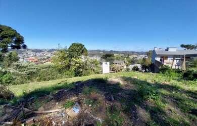 Imagem 3: Terreno para construção de empreendimento