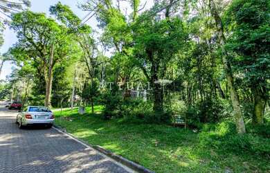 Imagem 4: LINDO LOTE NO CONDOMÍNIO PINHEIRO GROSSO