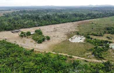 Imagem 10: Vende-se Fazenda - Iracema - RR