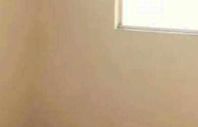 Imagem 5: Casa à venda em Colônia Dona Luíza