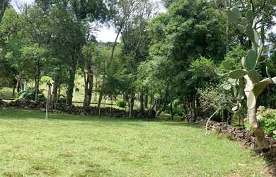 Imagem 3: Sitio - Bairro Tapera. 10.000m² de Área