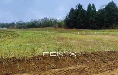 Imagem: O terreno possui 500m² de Área e está localizado em Centro