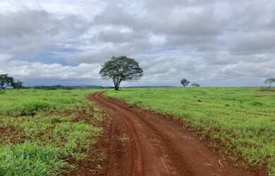 Imagem 11: Fazenda com 392 hectares Município de Filadélfia- TO