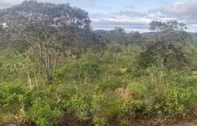 Imagem: O terreno possui 1.250m² de Área e está localizado em Alto