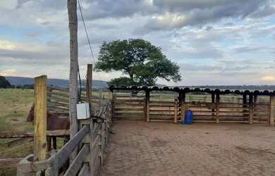 Imagem 11: Fazenda Porteira Fechada. 