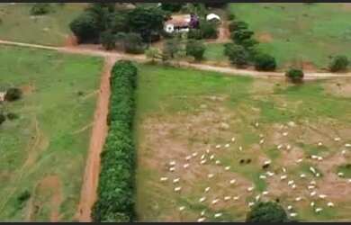 Imagem: A fazenda possui 15.520.000m² de Área e está localizado