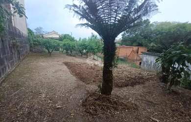 Imagem 12: Terreno à venda no bairro santa catarina