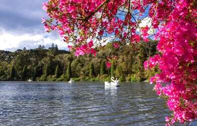 Imagem 5: Terreno - Bairro Floresta