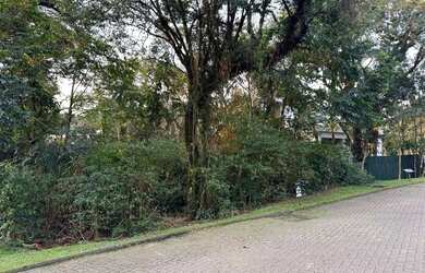 Imagem 8: Terreno à venda em Canela no Condomínio Reserva da Serra