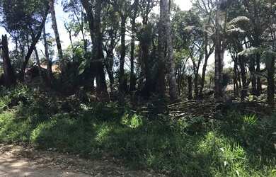 Imagem 2: Terreno - Bairro Alpes Verdes