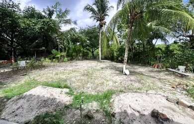 Imagem 11: CASA COM TETO TODO EM GESSO