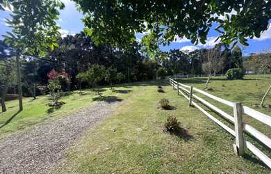 Imagem 8: Sitio - Bairro Tapera. 10.000m² de Área