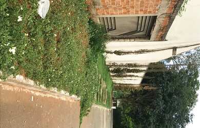 Imagem 4: Lote residencial 13x15. 195m² de Área