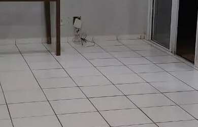 Imagem: A casa em condomínio possui 2 Dormitórios, 1 Banheiro, 2 Vagas