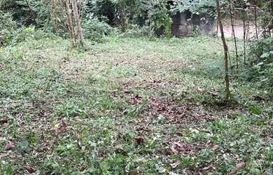 Imagem 3: Venda. 1.500m² de Área