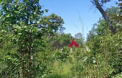 Imagem 10: Fazenda à venda, 137 Alq por R$ 2.740.000 - Zona Rural - Taguatinga/Tocantins