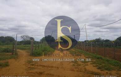 Imagem 6: Fazenda à venda Excelente para Criação de Gados,Caprinos e Ovinos e...