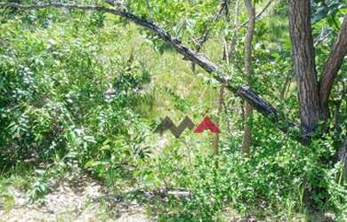 Imagem 14: Fazenda à venda, 137 Alq por R$ 2.740.000 - Zona Rural - Taguatinga/Tocantins