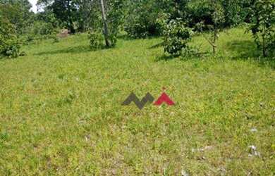 Imagem 8: Fazenda à venda, 137 Alq por R$ 2.740.000 - Zona Rural - Taguatinga/Tocantins