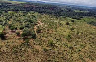 Imagem 4: Fazenda com 392 hectares Município de Filadélfia- TO