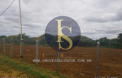 Imagem 7: Fazenda à venda Excelente para Criação de Gados,Caprinos e Ovinos e...