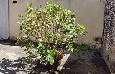 Imagem 4: Casa no planalto Uruguai. 2 Vagas na garageme2 Dormitórios