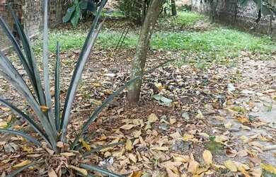 Imagem 10: Venda. 946m² de Área, 2 Vagas na garageme2 Dormitórios