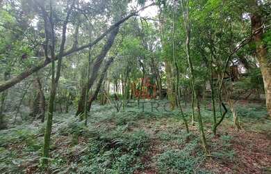 Imagem 7: Terreno à Venda em Canela