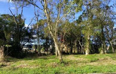 Imagem 2: Terreno no Loteamento Vila Bella III em Nova Petrópolis