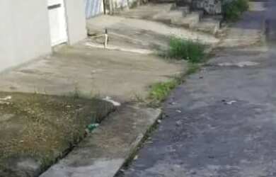 Imagem 8: Casa 3 quartos. Varanda, 200m² de Área, 2 Vagas na garageme3 Dormitórios