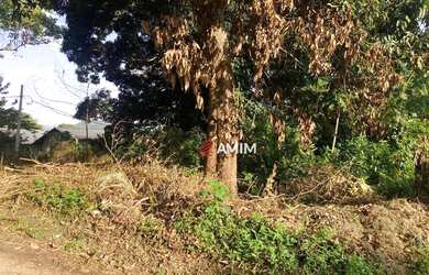 Imagem: O terreno possui 450m² de Área e está localizado em Engenho