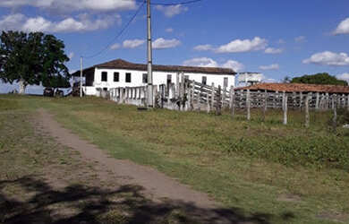 Imagem 1: Fazenda Com Ótimo Preço
