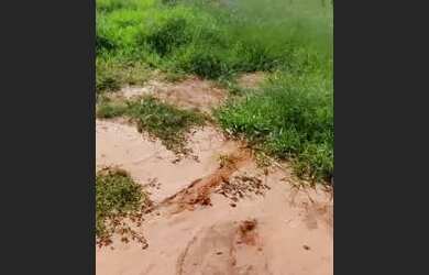 Imagem 1: Vendo terreno. 500m² de Área