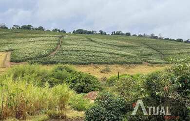 Imagem 16: FAZENDA DE ALTO PADRÃO 729 HECTARES MINAS GERAIS