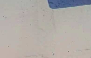 Imagem: O depósito e está localizado em Inhaúma, Rio de Janeiro à