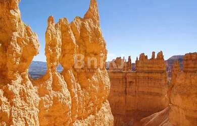 Imagem 14: Casa Histórica reformada 1500 m² - Venda por R$ 11.000.000,00 ou aluguel...