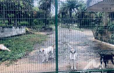 Imagem 4: NISIA FLORESTA/RN Lote com 591,98m² no Condomínio Veredas do Lago Azul