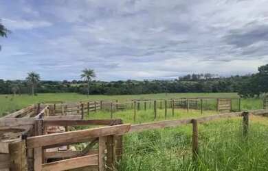 Imagem 5: Sítio monte Carmelo. 